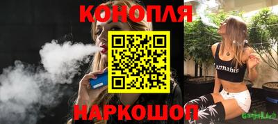 Альфа ПВП Малгобек