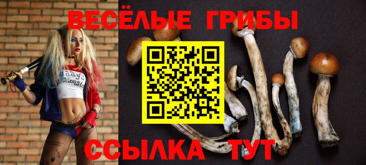 Галлюциногенные грибы Magic Shrooms Чехов
