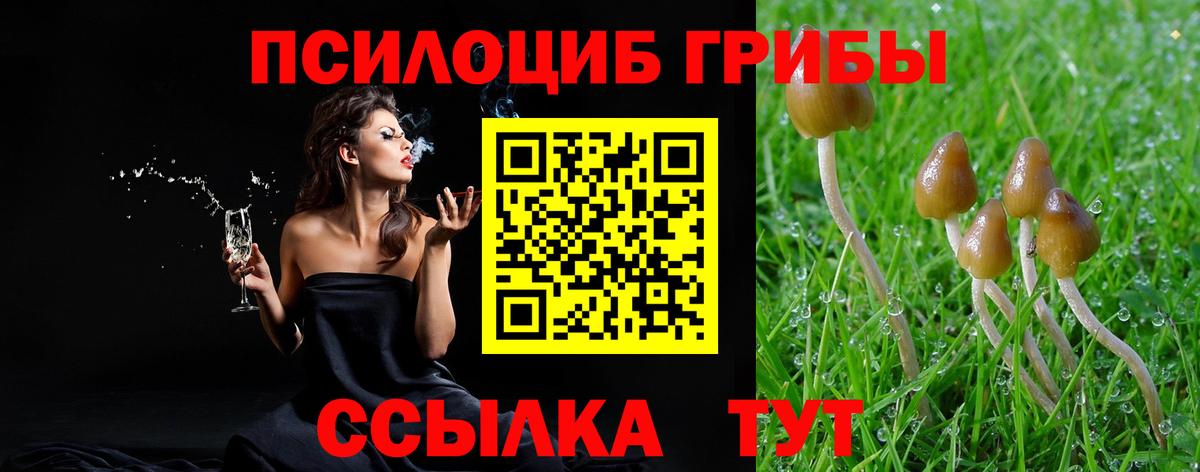Псилоцибиновые грибы Cubensis  Вход с VPN  Галлюциногенные грибы GOLDEN TEACHER  Чехов 